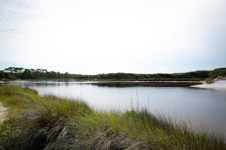 Beachside Retreat Overlooking Gulf of Mexico - Santa Rosa Beach, Florida