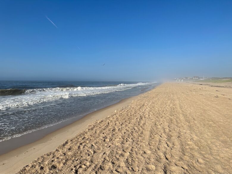 Hamptons Luxury House with Pool/Hot tub and Mature Garden 8 min walk to Beach - East Hampton, New York