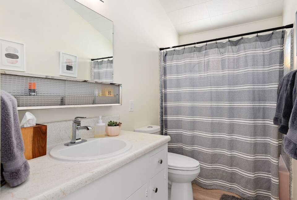 main bathroom with tub shower