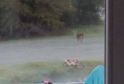 Little spot of Heaven | Watch the amazing sunsets - Brenham, Texas