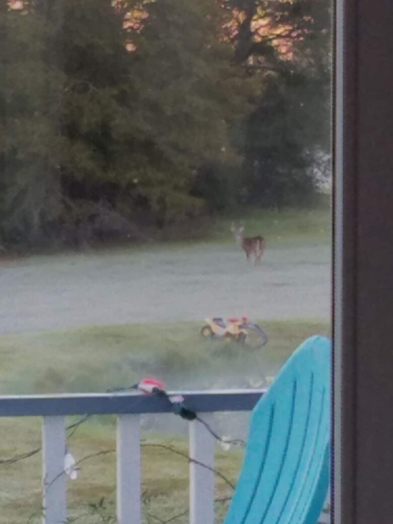 Little spot of Heaven | Watch the amazing sunsets - Brenham, Texas