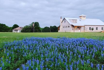 Brenham-Home/Barn & "Little Spot of Heaven" Vacation Retreat - Brenham, Texas