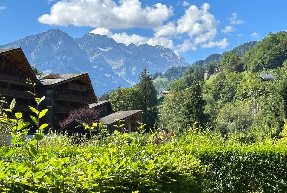 Riverside Mountain Retreat - Val-d'Illiez, Switzerland