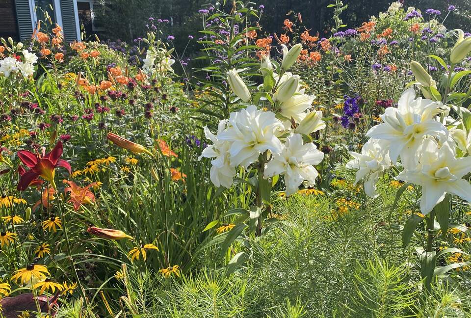 Custom secluded home on Cape Cod - Truro, Massachusetts