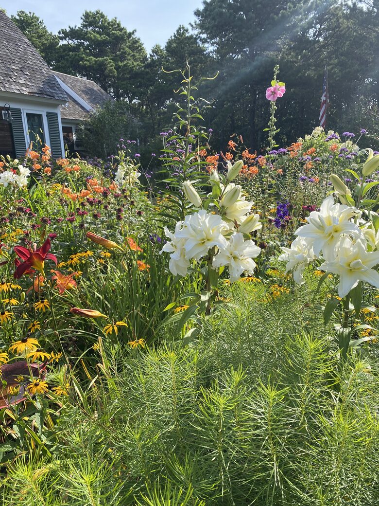 Custom secluded home on Cape Cod - Truro, Massachusetts