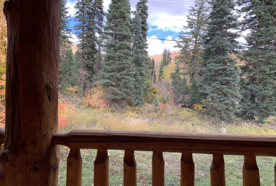 Secluded Log Cabin at Snake Creek - Midway, Utah