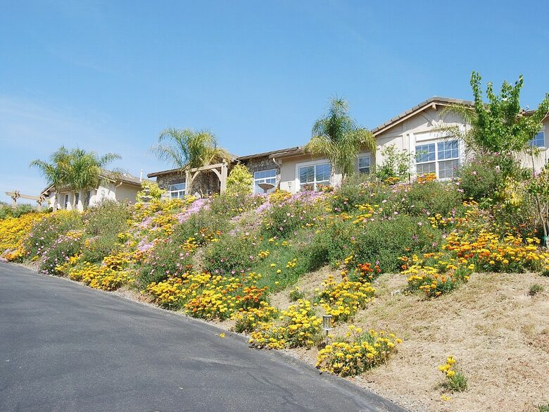 Casa Bella Tranquila - Valley Center, California