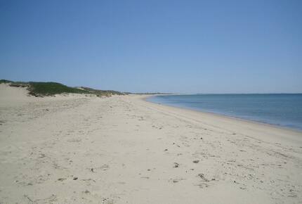 10 Minute Walk on Neighborhood Path down Sand Dunes to Hardings Beach