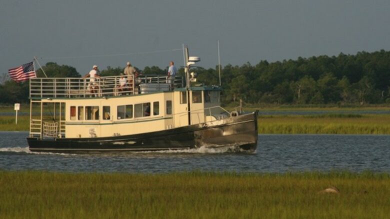Tree House on Dewees Island - Dewees Island, South Carolina