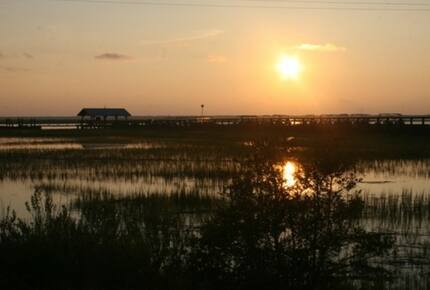 Tree House on Dewees Island - Dewees Island, South Carolina