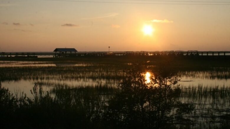 Tree House on Dewees Island - Dewees Island, South Carolina