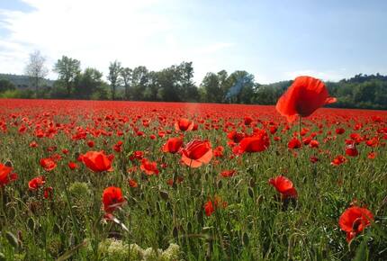 La Source - St Martin de Castillon, France