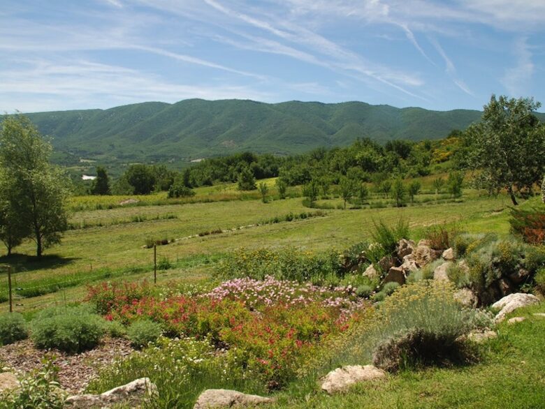 La Source - St Martin de Castillon, France
