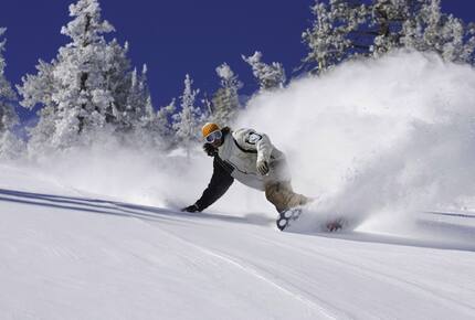 Mighty Bear Manor - Big Bear Lake, California