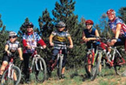 Mighty Bear Manor - Big Bear Lake, California