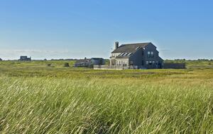 The Lady's Slipper - Nantucket, Massachusetts