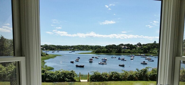 View from Family Room