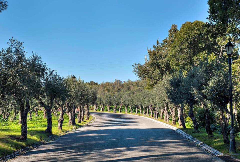 Gorgeous Property in Quinta Patino Luxury Resort - Estoril, Portugal
