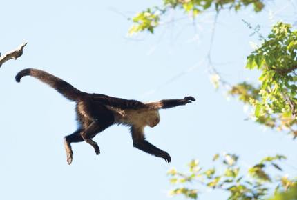 Four Seasons Residence Club Costa Rica - Peninsula Papagayo, Costa Rica
