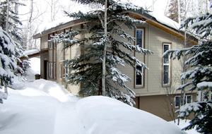 Snowmass Ski-In/Ski-Out - Snowmass Village, Colorado