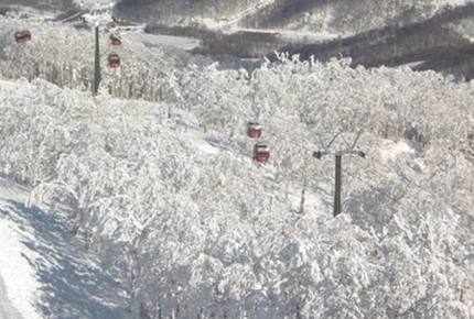 Konayuki - Rusutsu-Mura, Japan