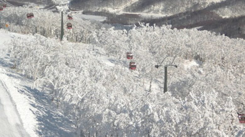 Konayuki - Rusutsu-Mura, Japan