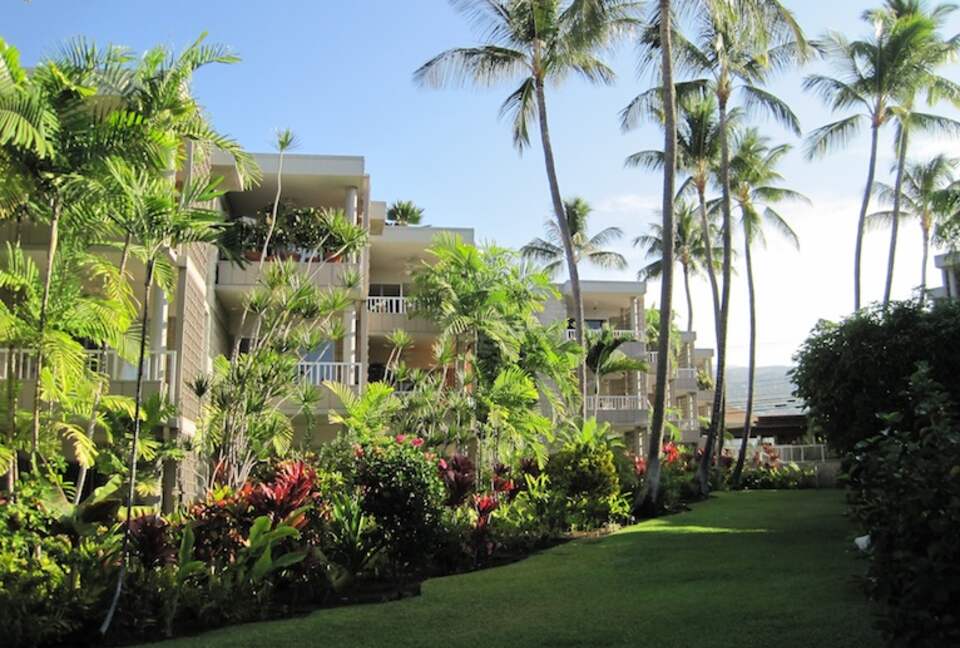 Kona Cool Breeze - Kailua-Kona, Big Island, Hawaii