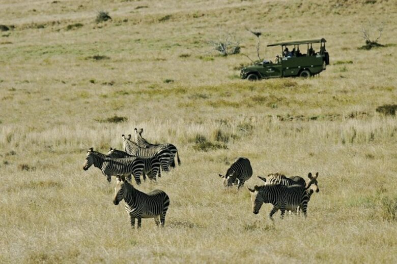 Mount Camdeboo Private Game Reserve (R) - Graaff-Reinet, South Africa