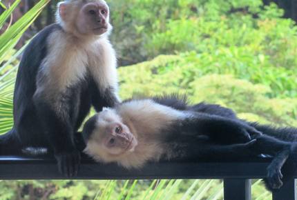 Pacifico Villa - Manuel Antonio, Costa Rica