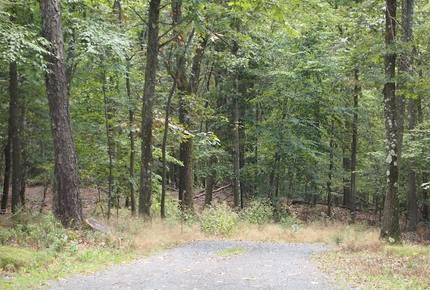 Forest Lodge in the Berkshires - Hillsdale, New York