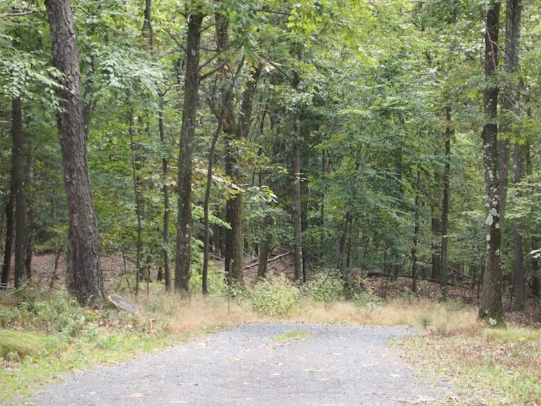 Forest Lodge in the Berkshires - Hillsdale, New York