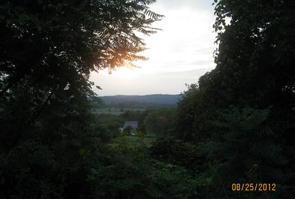 Forest Lodge in the Berkshires - Hillsdale, New York