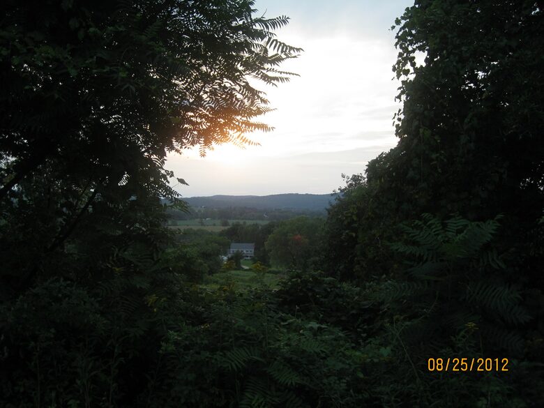 Forest Lodge in the Berkshires - Hillsdale, New York