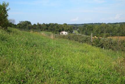 Forest Lodge in the Berkshires - Hillsdale, New York