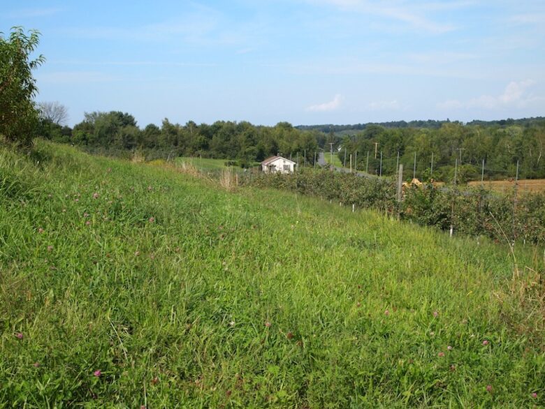 Forest Lodge in the Berkshires - Hillsdale, New York