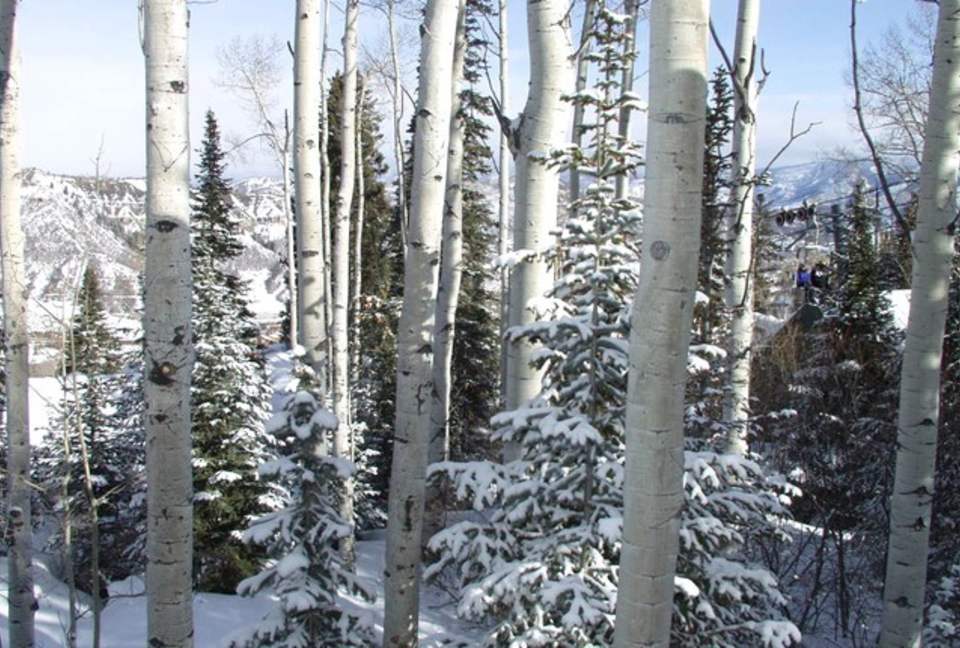 Snowmass Ski-In/Ski-Out - Snowmass Village, Colorado