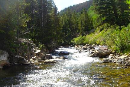 Ten Mile Creek - 2 blocks away - Fly Fishing