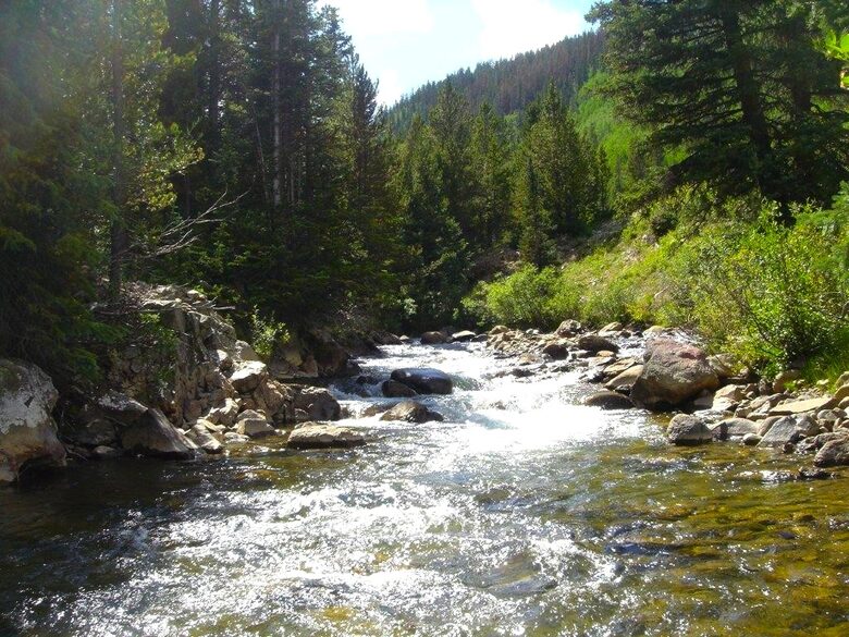 Ten Mile Creek - 2 blocks away - Fly Fishing