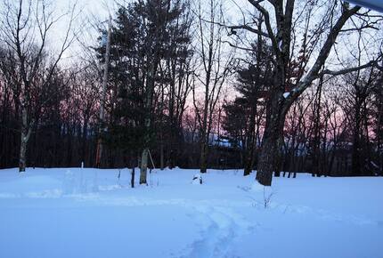 Forest Lodge in the Berkshires - Hillsdale, New York