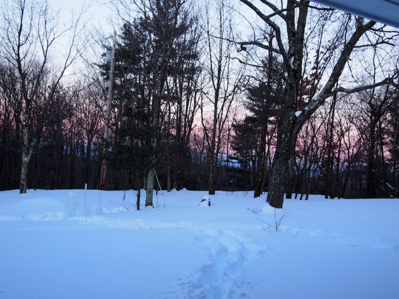 Forest Lodge in the Berkshires - Hillsdale, New York