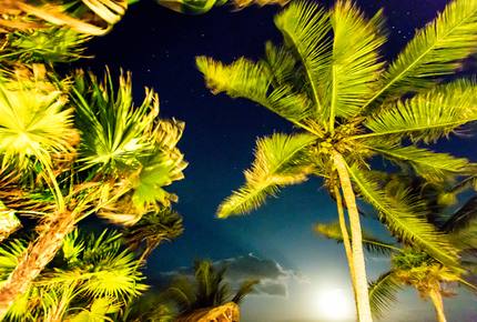 Escape in Tulum - Tulum, Mexico