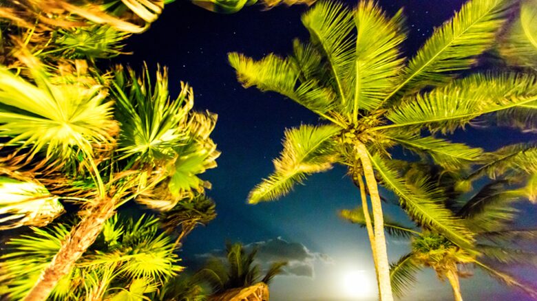 Escape in Tulum - Tulum, Mexico