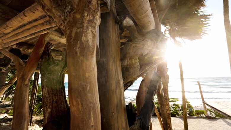 Escape in Tulum - Tulum, Mexico