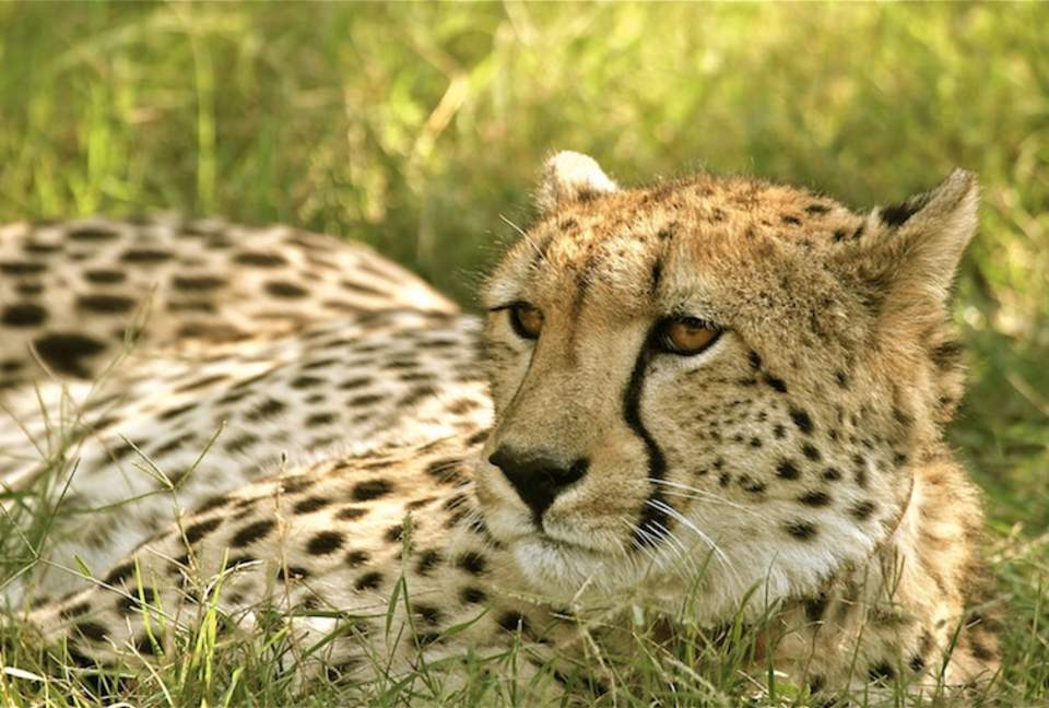 Mount Camdeboo Private Game Reserve (R) - Graaff-Reinet, South Africa