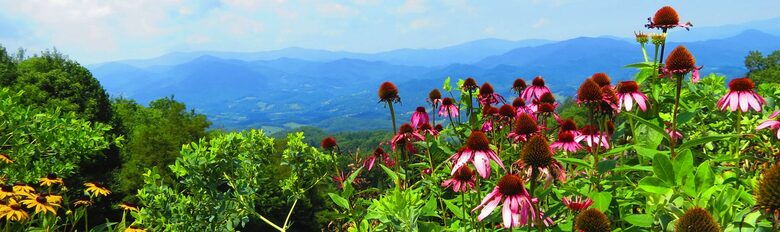 Mountain Air Country Club at Blue Ridge Mountain Retreat - Burnsville, North Carolina