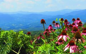 Mountain Air Country Club at Blue Ridge Mountain Retreat - Burnsville, North Carolina