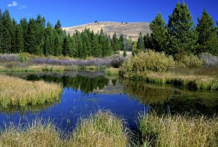 The Hemingways - 4 Bedroom Residence - Sun Valley, Idaho