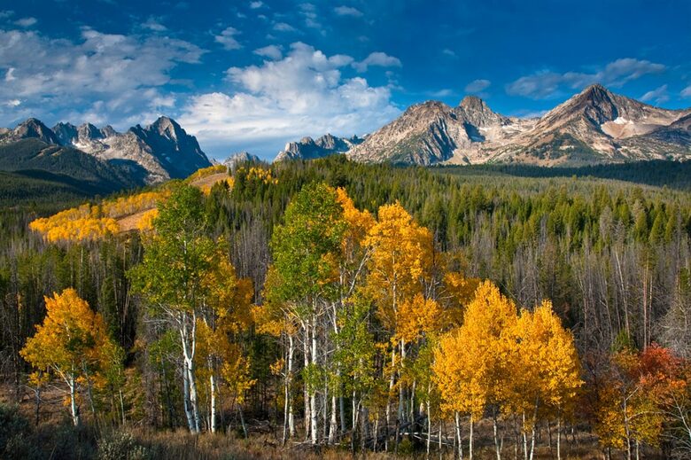 The Hemingways - 4 Bedroom Residence - Sun Valley, Idaho