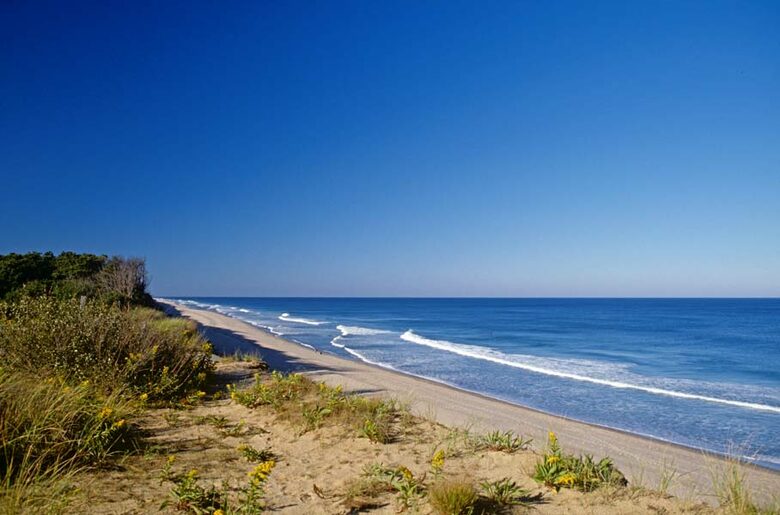 Cape Cod Seclusion - Truro, Massachusetts