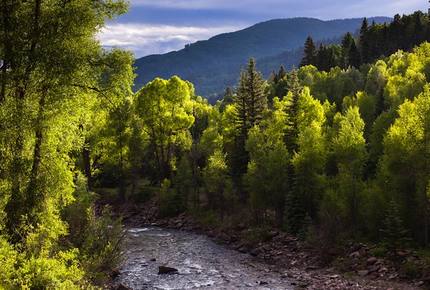 Element 52 - 4 Bedroom Residence - Telluride, Colorado
